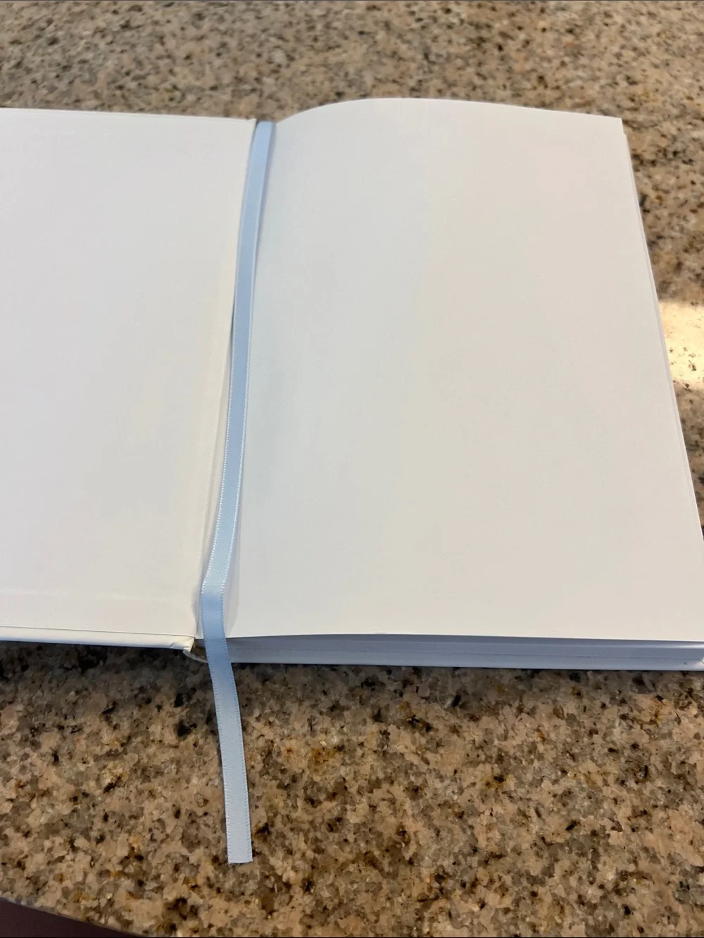 The Self-Care Planner Hardcover Journal by Meera Lester – Partially Used